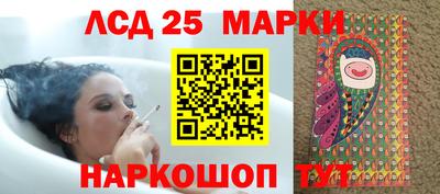 PSILOCYBIN Нальчик