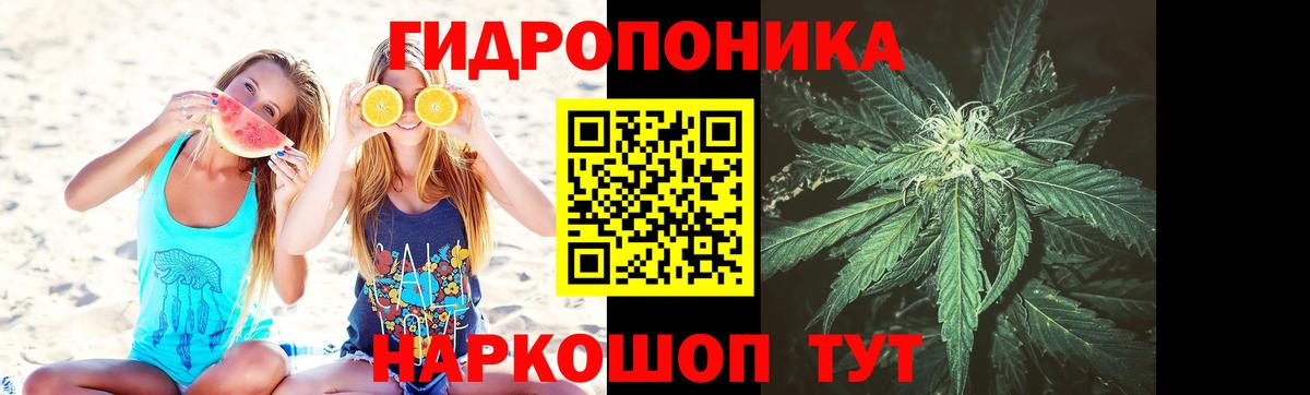 МАРИХУАНА White Widow Сорочинск